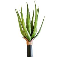 Flor Decorativa Aloe Verde Artificial 50cm Florarte