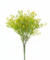 Flor Erva doce amarela Flor Erva doce amarela