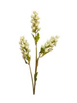 Flor Futas Silvestres creme delicado e decorativo - 70cm