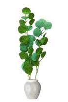 Flor haste folha moeda - 105 cm