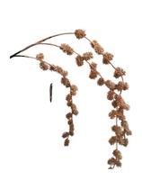 Flor Ht Berries Silvestres Café 80 cm Flor Ht Berries Silvestres Café 80 cm
