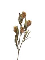 Flor Ht Cardo Silvestre café 42 cm Flor Ht Cardo Silvestre café 42 cm