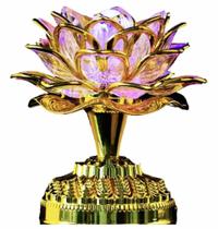 Flor Lotus Cromoterapia Mantra Dourada