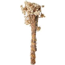 Flor margarida preservada 48cm mart