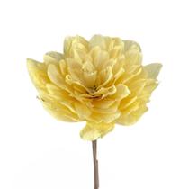 Flor Montada 1 Haste Alvejada Desidratada Decoração Arranjo Flor Montada 1 Haste Alvejada Desidratada Decoração Arranjo