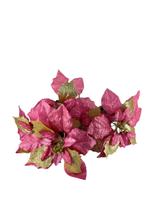 Flor Natal Bico de Papagaio Acessórios Decoração Natal Buquê Rosa Decoração Da Árvore De Natal Flor Natal Bico de Papagaio Acessórios Decoração Natal Buquê Rosa Decoração Da Árvore De Natal