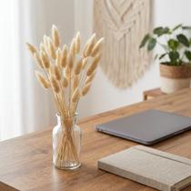 Flor Natural Seca Rabo De Coelho 50 Unidades 60cm Enfeite Artesanato Vaso