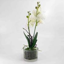 Flor Orquidea Phalaenopsis X5 Cor Branca C/ Vaso Artificial Permanente 25CM 36679-002 - PARIS LUZ