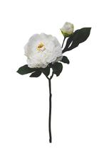 Flor permanente haste peonia branca 52cm