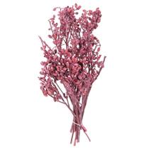 Flor seca y preservada Peonía Sola Vickerman Flor seca y preservada Peonía Sola Vickerman
