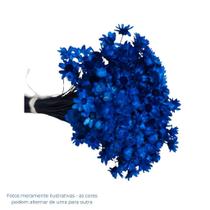 Flor Sempre Viva Azul Divina Zelia Flor Sempre Viva Azul Divina Zelia
