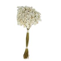 Flor Sempre Viva Natural Multiplo Divina Zelia