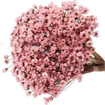 Flor Sempre Viva - Ramo com 600 Flores - Rosa - Hebling Casa & Decoração