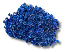 Flor Sempre Viva Seca Flores Azul Lembrancinha Desidratado