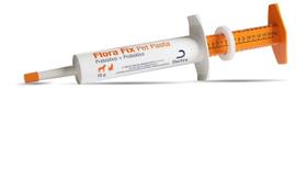 Florafix Probiótico E Prebíotico Tratar Flora Intestinal