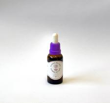 Floral Catucaí Paciência