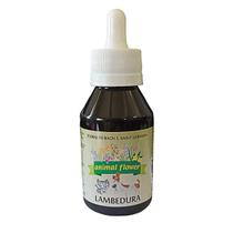 Floral em Gotas Lambedura para Cães e Gatos - 100mL - Animal Flower Floral em Gotas Lambedura para Cães e Gatos - 100mL - Animal Flower