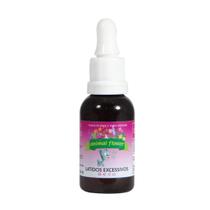 Floral Latidos Excessivos 30ml gotas Animal Flower Floral Latidos Excessivos 30ml gotas Animal Flower