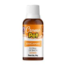 Floral Pet Educamais - Momento Disciplina 26g