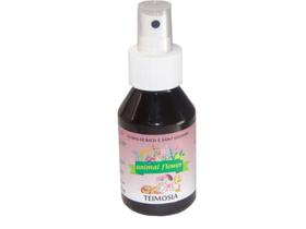 Floral Teimosia 100ml spray- Animal Flower Floral Teimosia 100ml spray- Animal Flower