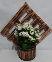 floreira de parede xadrez, cachepot redondo floreira de parede xadrez, cachepot redondo