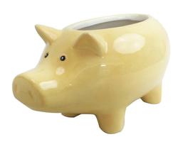 Floreiro Cerâmica Porco Amarelo Decorativo p/Jardim 22cm