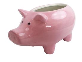 Floreiro para Jardim Porco De Ceramica Rosa 18X11X10Cm Floreiro para Jardim Porco De Ceramica Rosa 18X11X10Cm