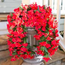 Flores artificiais de buganvília suspensas Hye Flora Red 2 unidades Flores artificiais de buganvília suspensas Hye Flora Red 2 unidades