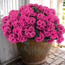Flores Artificiais de Gerânio Hananona 6 Unidades Vermelho Resistente a UV