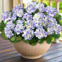 Flores artificiais de gerânio TURNMEON para decoração ao ar livre x4 Flores artificiais de gerânio TURNMEON para decoração ao ar livre x4