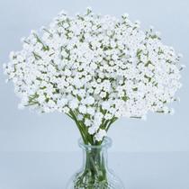 Flores artificiais de mosquitinho MAQIHAN 52 cm brancas, 6 unidades