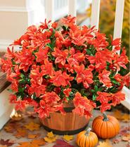 Flores artificiais de outono INSPRING Azalea 3 pacotes ao ar livre Flores artificiais de outono INSPRING Azalea 3 pacotes ao ar livre