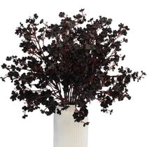 Flores artificiais DoubleWood Black Baby's Breath, 10 unidades Flores artificiais DoubleWood Black Baby's Breath, 10 unidades