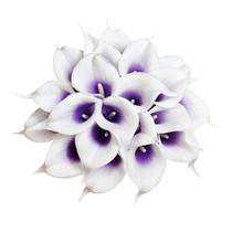 Flores artificiais DuHouse Calla Lily, 20 unidades (roxo e branco)