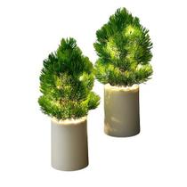 Flores Artificiais Em Vaso com Luz de led Flores Artificiais Em Vaso com Luz de led