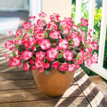 Flores artificiais Hibiscus 6 pacotes para decoração de exteriores Flores artificiais Hibiscus 6 pacotes para decoração de exteriores