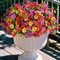 Flores artificiais Hrobek para decoração de exteriores 12 pacotes Flores artificiais Hrobek para decoração de exteriores 12 pacotes