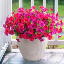 Flores artificiais Hrobek para decoração de exteriores rosa roxa Flores artificiais Hrobek para decoração de exteriores rosa roxa
