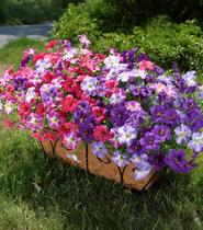 Flores Artificiais INSPRING 20 Pacotes Resistentes a UV para Exterior Flores Artificiais INSPRING 20 Pacotes Resistentes a UV para Exterior