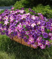 Flores Artificiais INSPRING 20 Pacotes Resistentes a UV para Uso Externo Flores Artificiais INSPRING 20 Pacotes Resistentes a UV para Uso Externo