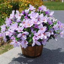 Flores artificiais INSPRING Azalea Bouquet, 3 pacotes, roxo Flores artificiais INSPRING Azalea Bouquet, 3 pacotes, roxo