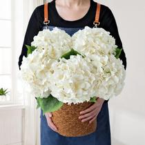 Flores artificiais JINWOE Boho Silk Hydrangea 50 cm Creme x5 Flores artificiais JINWOE Boho Silk Hydrangea 50 cm Creme x5