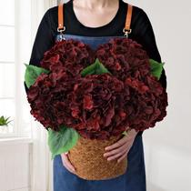 Flores artificiais JINWOE Burgundy Silk Hydrangea x5 50cm Flores artificiais JINWOE Burgundy Silk Hydrangea x5 50cm