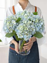 Flores artificiais JINWOE Hortênsia azul claro x4 com vaso Flores artificiais JINWOE Hortênsia azul claro x4 com vaso