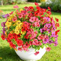 Flores Artificiais LYLYFAN 36 cm 12 Maços Mistos Flores Artificiais LYLYFAN 36 cm 12 Maços Mistos