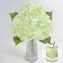 Flores artificiais MARTINE MALL Hydrangea 53 cm, 3 unidades, verde claro Flores artificiais MARTINE MALL Hydrangea 53 cm, 3 unidades, verde claro