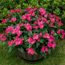 Flores artificiais Nigirior Fake Impatiens 6 pacotes ao ar livre