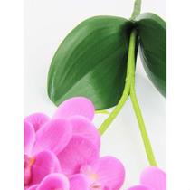 Flores Artificiais Phalaenopsis Orquidea Artificial Raizes Silicone 3d Toque Real Branco ou Roxa 50cm Decoração Romântica Favorito Arranjo - L7