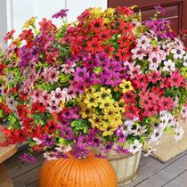 Flores Artificiais SHareconn 24 Pacotes Cores Resistentes ao UV Flores Artificiais SHareconn 24 Pacotes Cores Resistentes ao UV