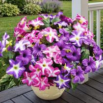 Flores Artificiais Vemander 4 Peças Petúnias Falsas Resistente a UV Flores Artificiais Vemander 4 Peças Petúnias Falsas Resistente a UV